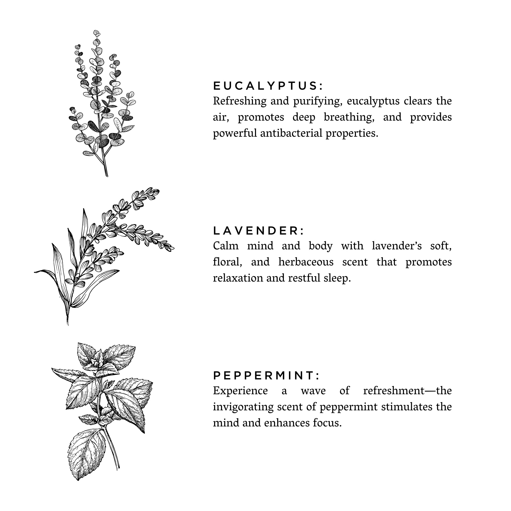 Of The Sea - Eucalyptus + Lavender + Peppermint