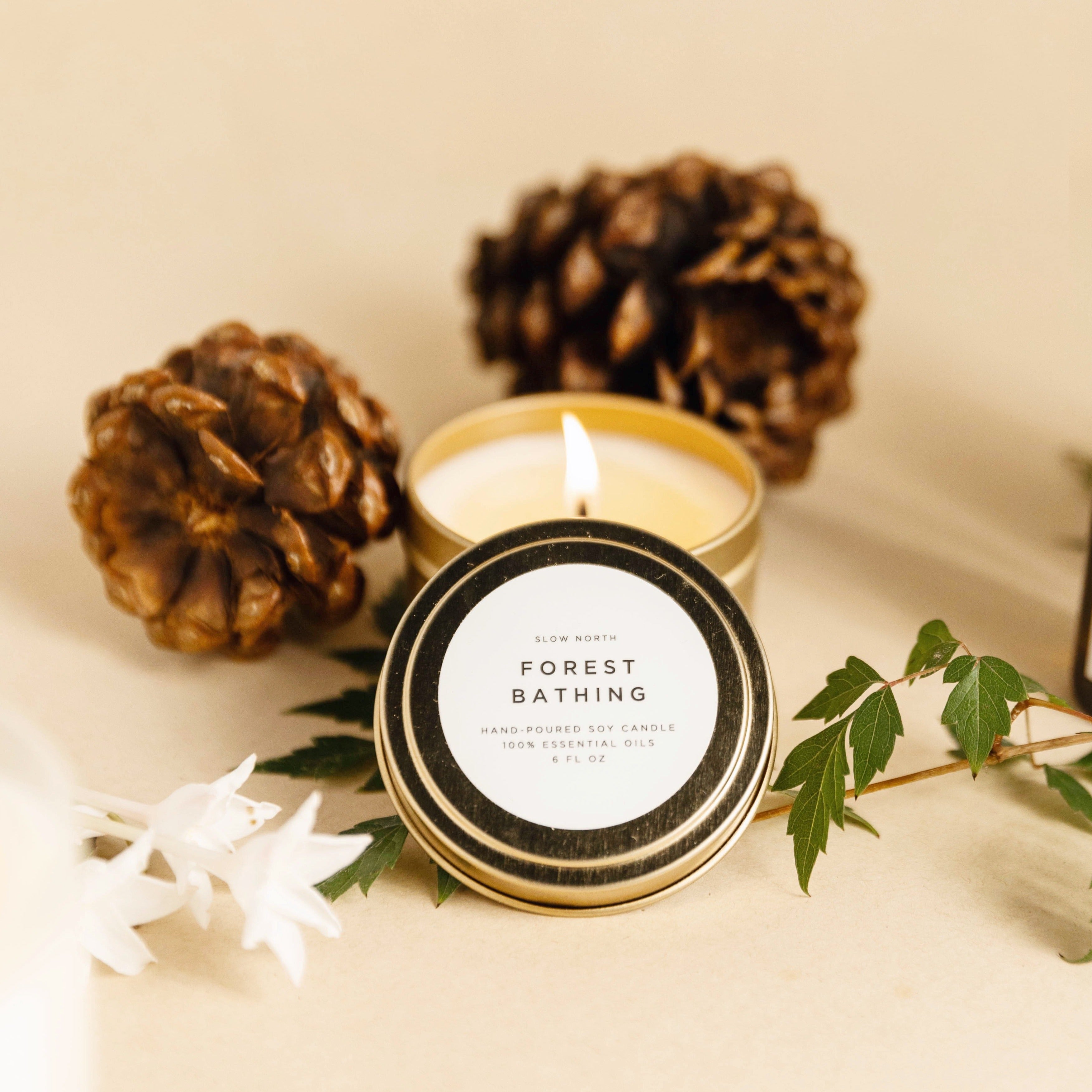  Kaileycandles  Frostest Forest - Organic Scented Candle : Home  & Kitchen