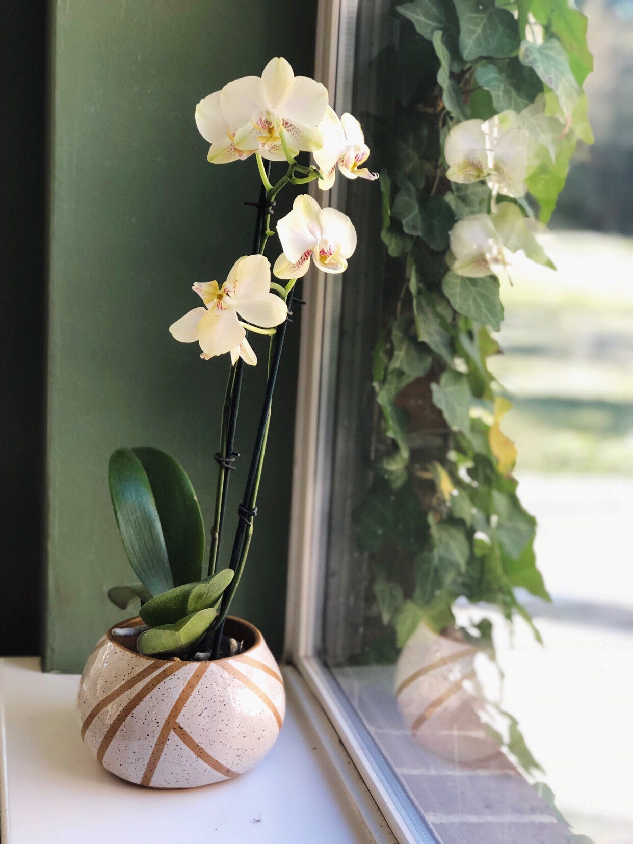 Tips Every Plant Lady Wants You to Know