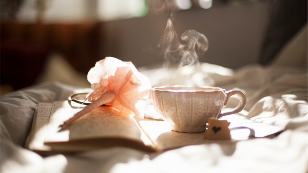 5 Organic Tea Blends for a Relaxing Night In