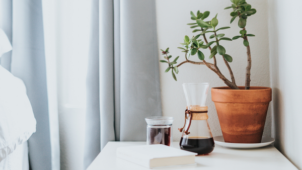 Your Guide to Eco-Conscious Coffee
