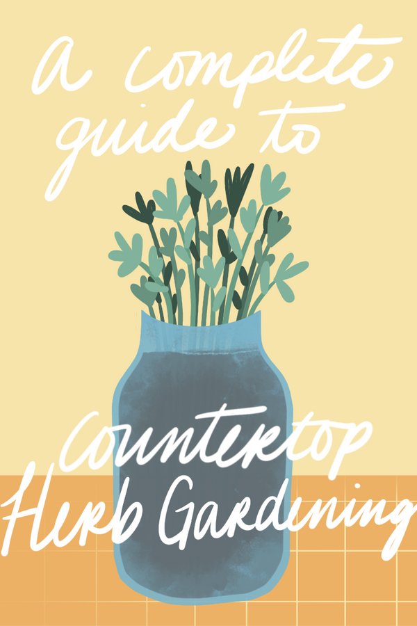 The Complete Guide to Countertop Herb Gardening