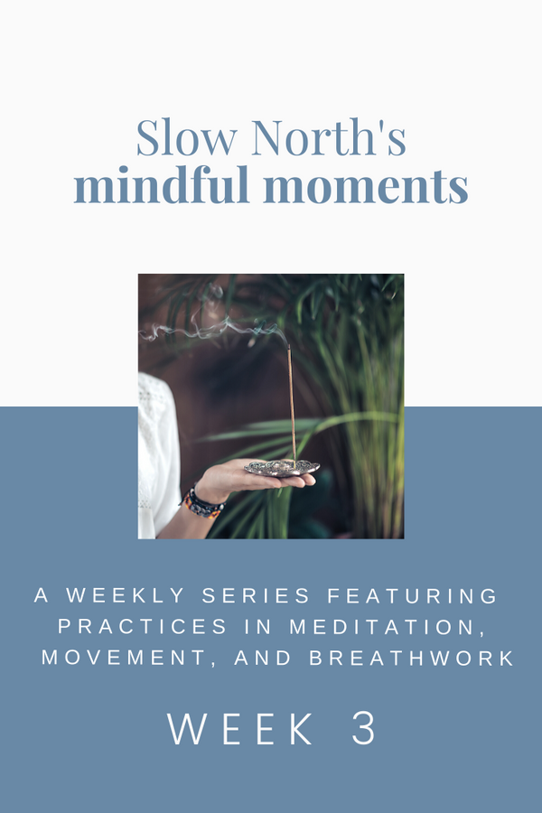Mindful Moments: Week 3