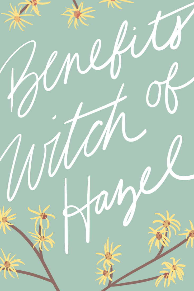 5 Benefits of Witch Hazel