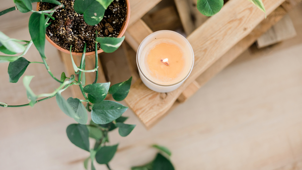 A Sustainable, Conscious Buying Guide to Non-Toxic, Paraffin-Free, and Clean-Burning Candles
