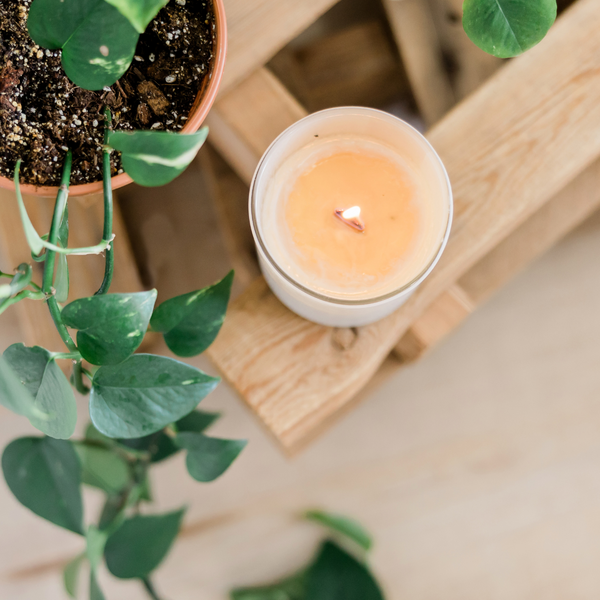 A Sustainable Conscious Buying Guide to Non Toxic Paraffin Free