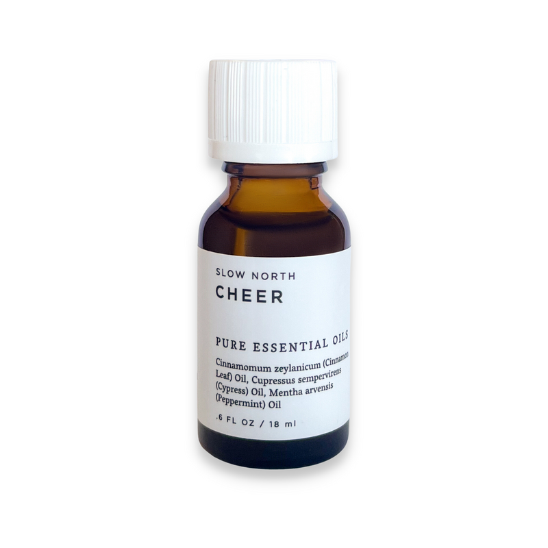Essential Oil Diffuser Blend (3 Seasonal Scents)