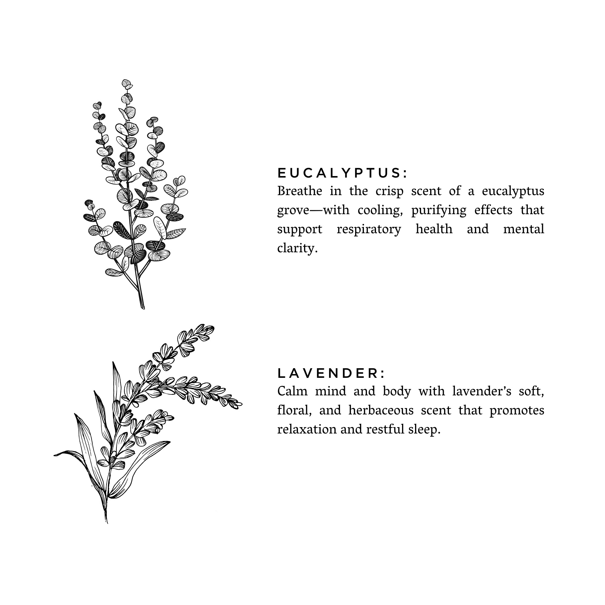 Eucalyptus + Lavender Atmosphere