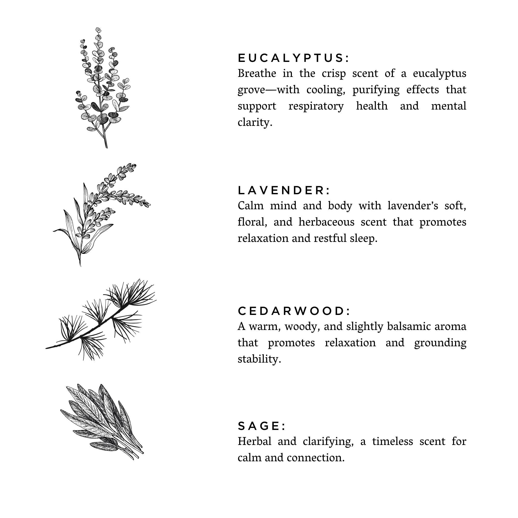 Illustrations of eucalyptus, lavender, cedarwood, and sage with descriptive text on a white background.