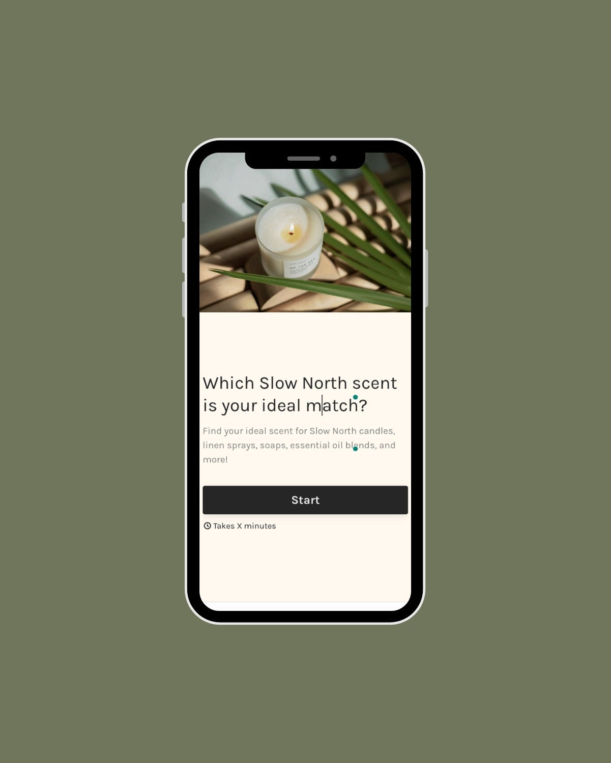Slow North Scent Finder Quiz