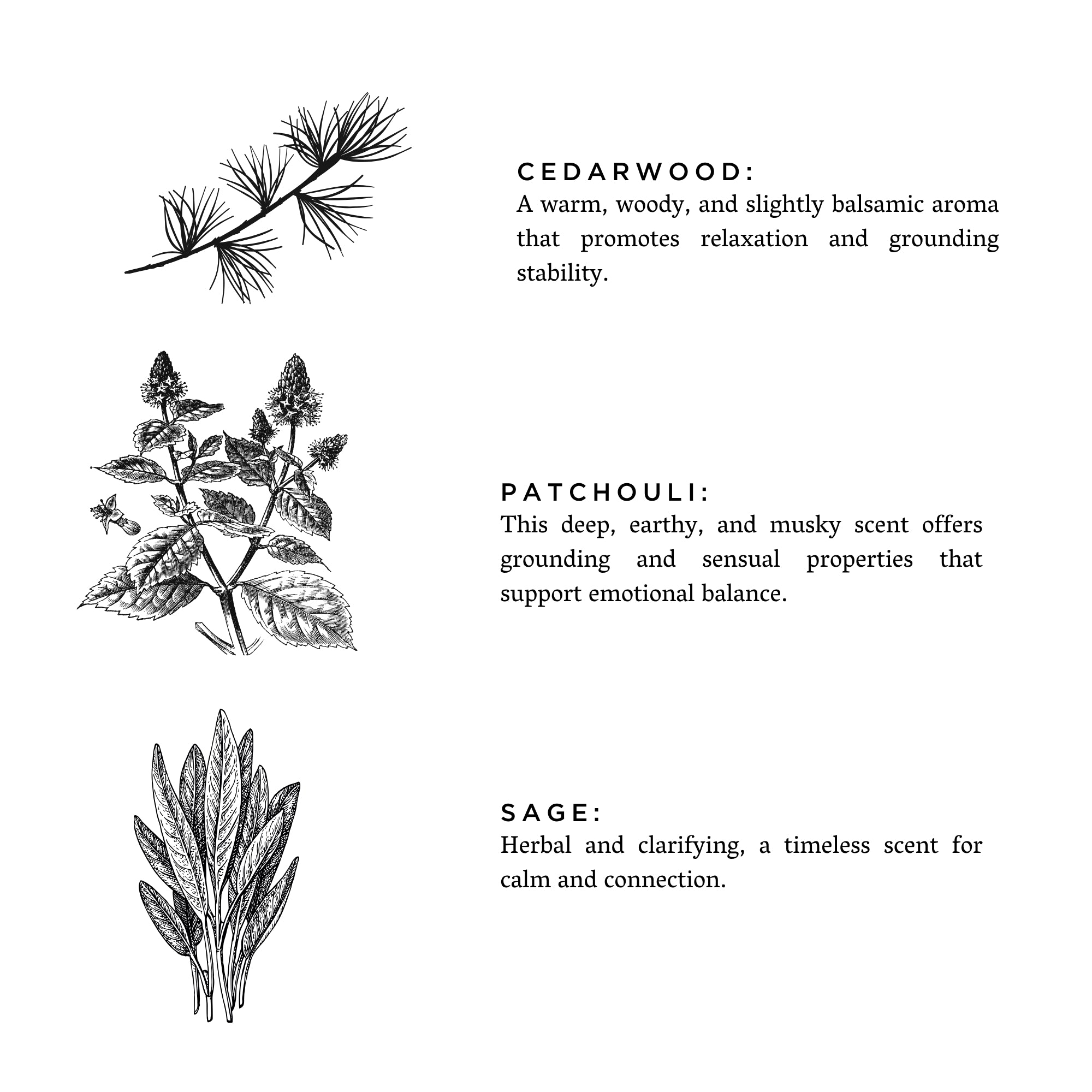 Illustrations of cedarwood, patchouli, and sage with descriptive text on a white background