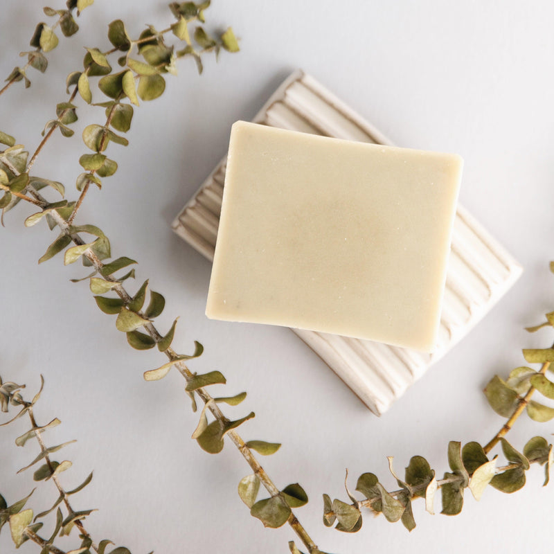 Eucalyptus + Lavender - Natural Bar Soap – Slow North