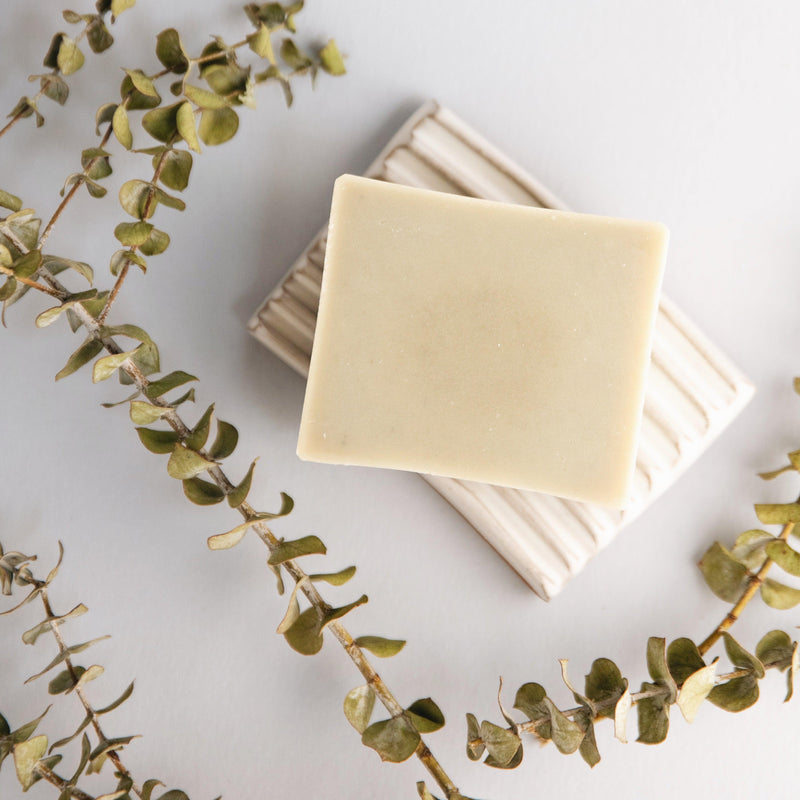 https://www.slownorth.com/cdn/shop/products/Eucalyptus-Lavender-Natural-Bar-Soap-Slow-North-3_800x.jpg?v=1661659310