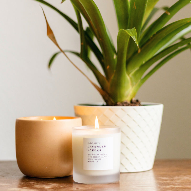 Lit soy wax candle in 8 ounce clear frosted tumbler surrounded by a lit pink candle and a houseplant. By Slow North