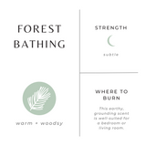 Forest Bathing - Fir + Pine + Patchouli